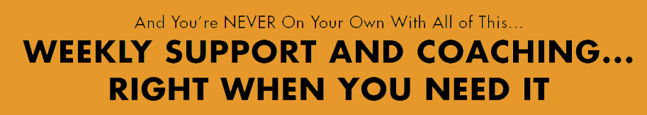 Weekly support and coaching availability message.