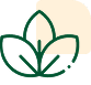 transformation-program